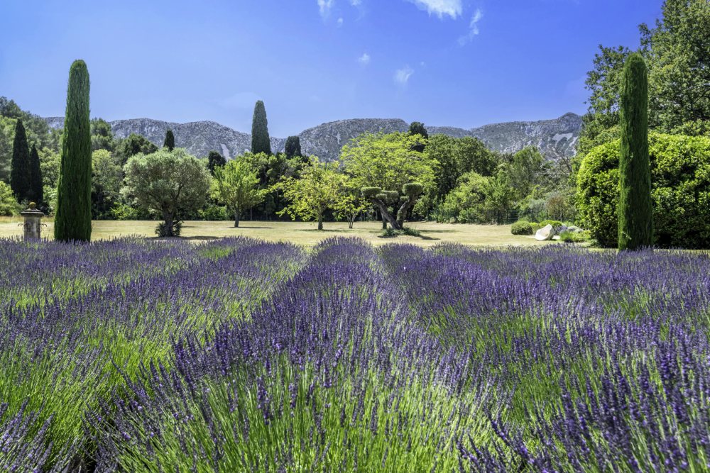 Photographs of Mas de la Caume villa in Provence - Image 35 of 52