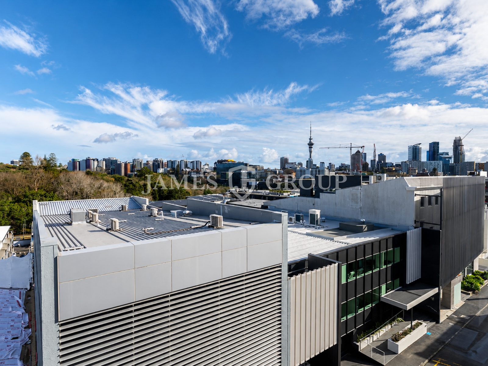 Full Floor Office In Parnell