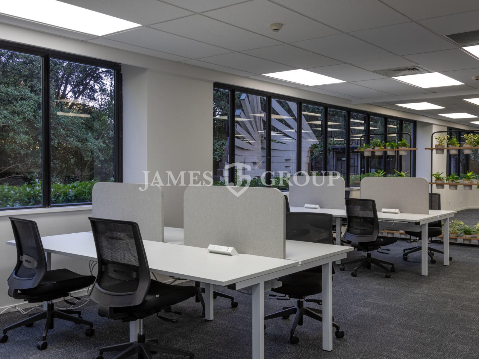 Great South Road Office Opportunity