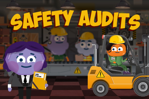 Safety Audits