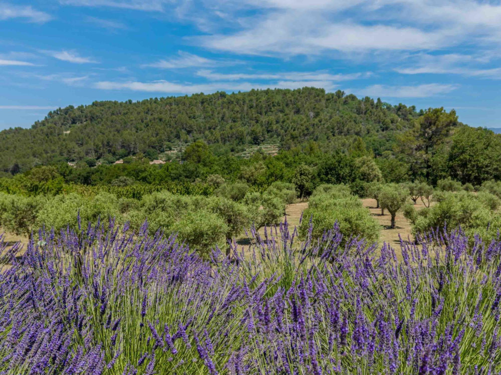 Photographs of Mas des Secrets villa in Provence - Image 43 of 47