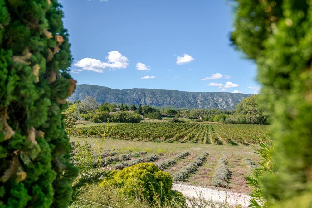 Photographs of Mas d’Oppede villa in Provence - Image 16 of 36
