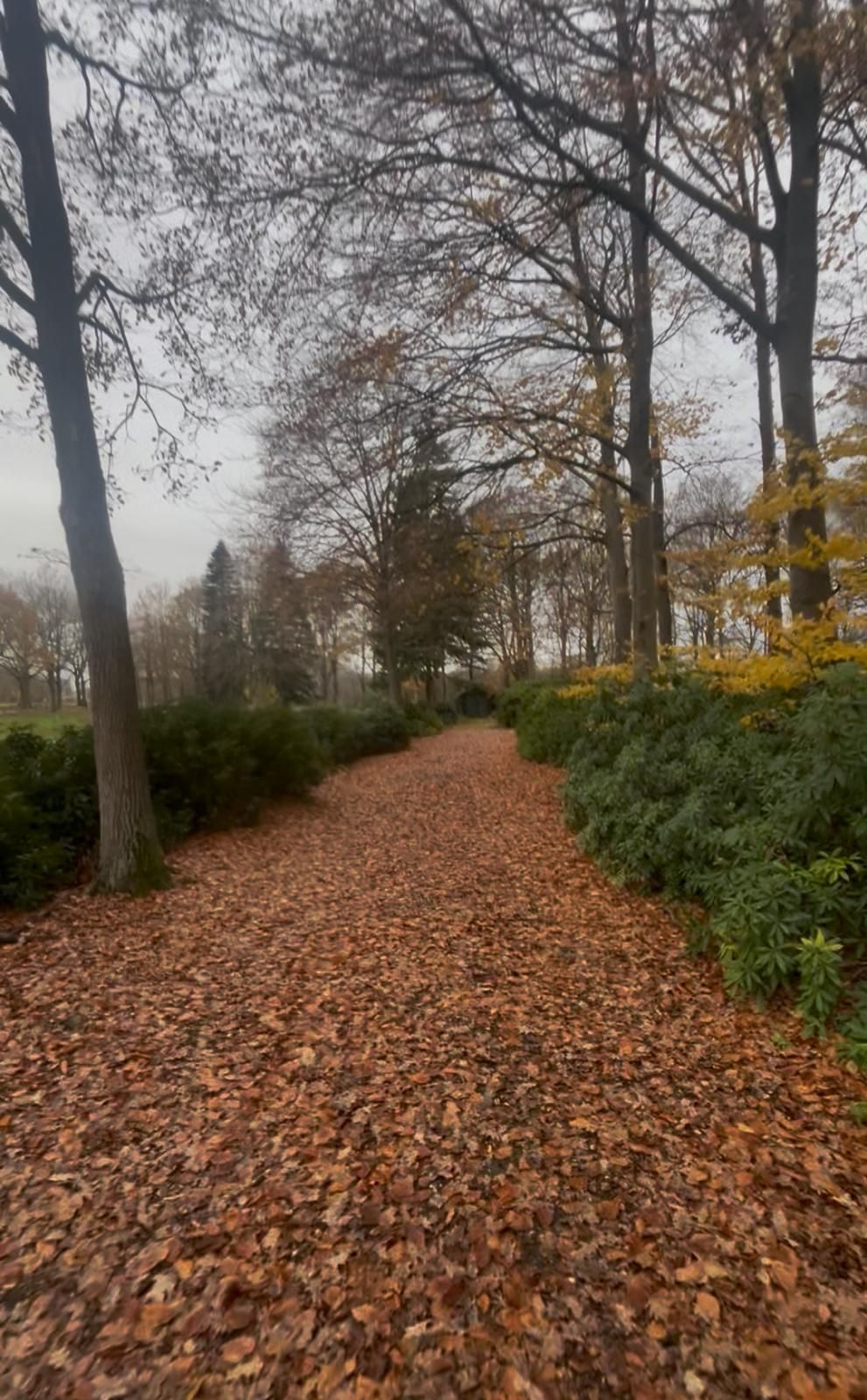 Zelfstandige bungalow in Zundert