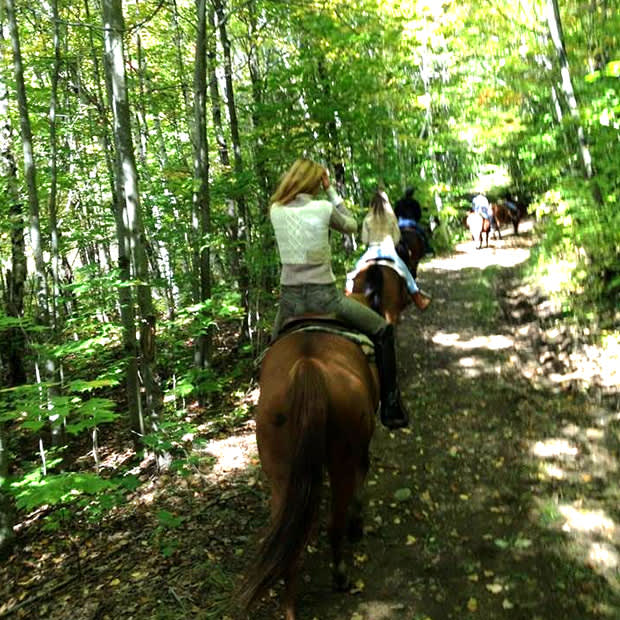 Equitation outaouais Clearance