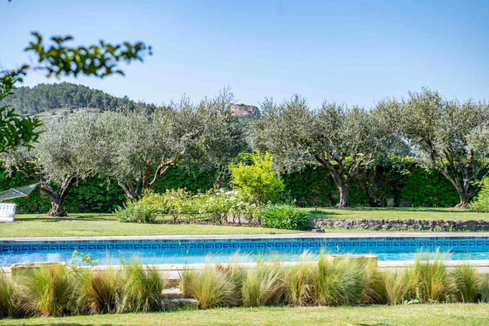 Photographs of New! Mas de l’Acacia villa in Provence - Image 10 of 37