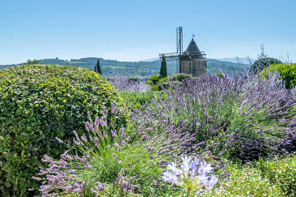 Photographs of Mas des Murets villa in Provence - Image 43 of 48