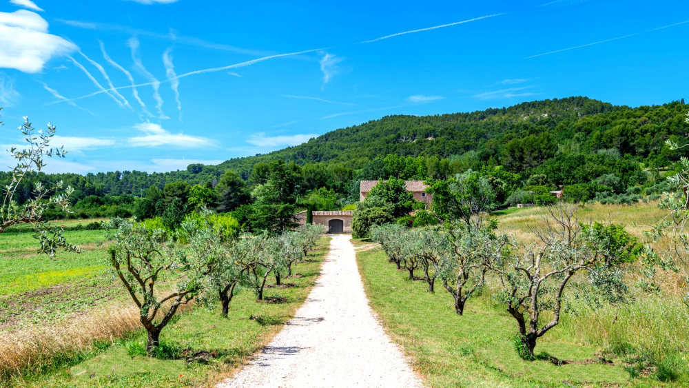 Photographs of Bastide du Baron villa in Provence - Image 3 of 50