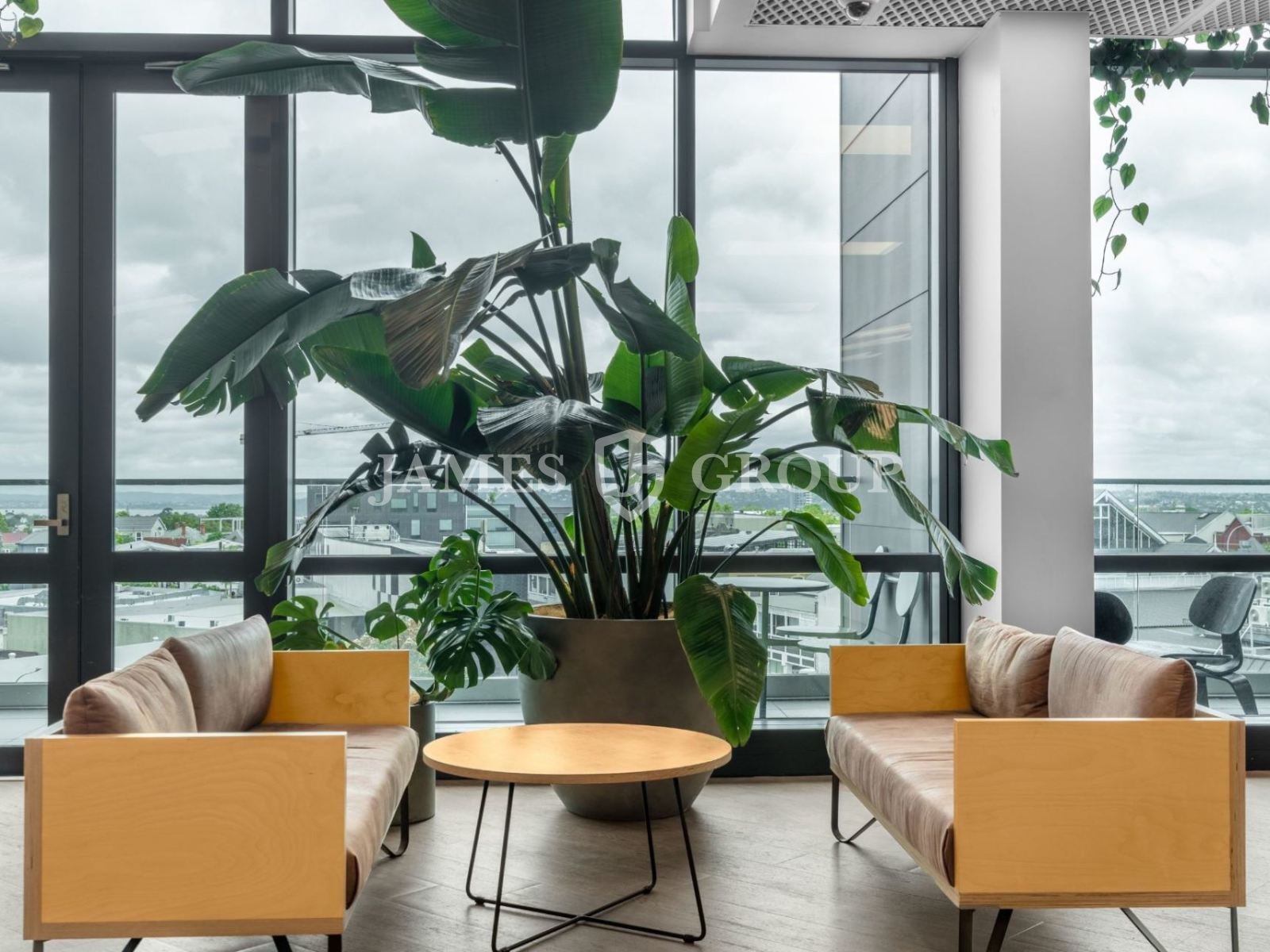 Flexible Ponsonby Workspace | 5–200m² Options