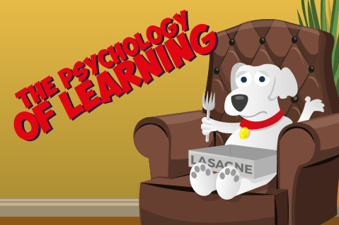 The Psychology of Learning