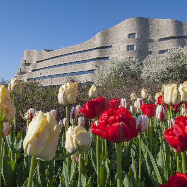 Musée canadien de l’histoire