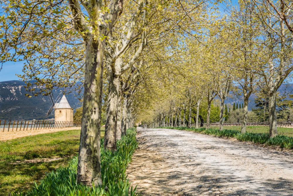 Photographs of Chateau de Sannes villa in Provence - Image 20 of 61