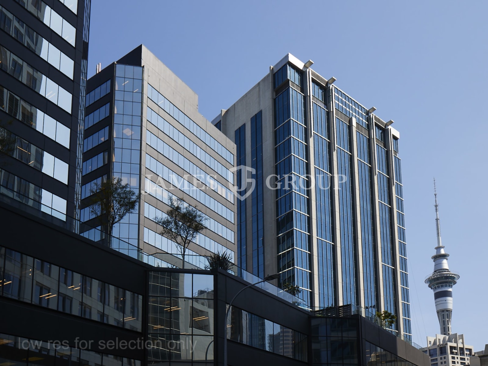 Full Floor Shortland Street Office