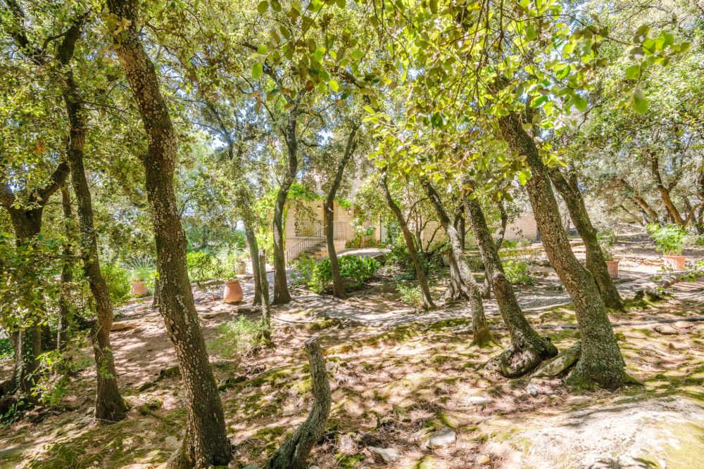 Photographs of Mas des Rocailles villa in Provence - Image 29 of 41
