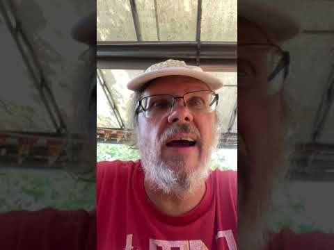 Callings and why you should seek yours! SYMin story.
