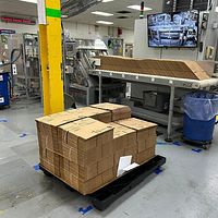 Single Lane Case Erector-Cermex/Sidel - Image 6