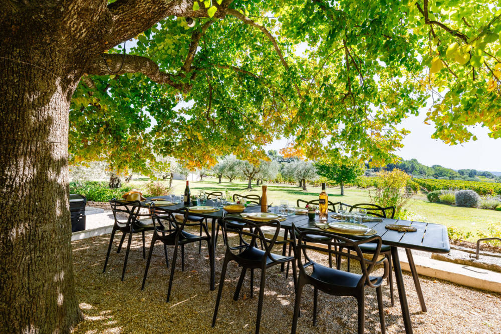 Photographs of Mas de la Sérénité villa in Provence - Image 19 of 39