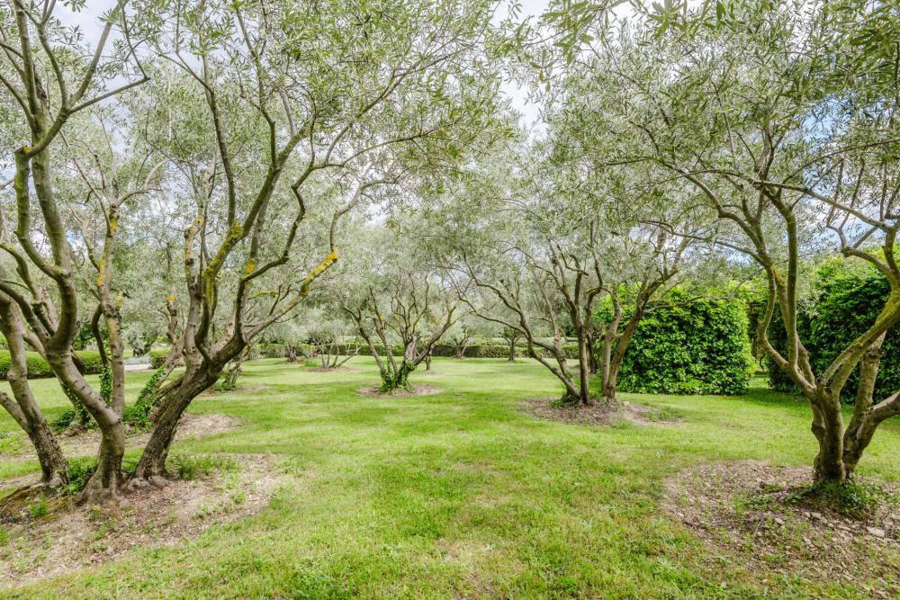 Photographs of Bastide Des Jardins villa in Provence - Image 48 of 52