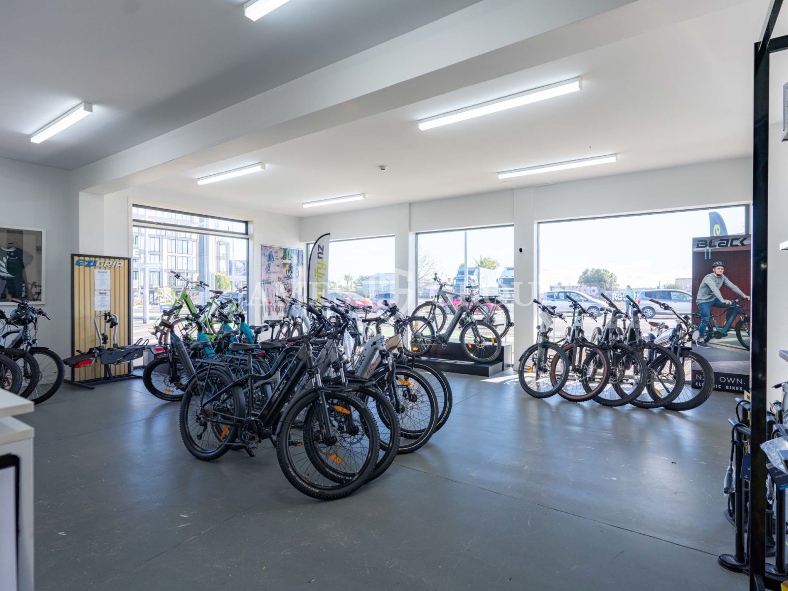 High Profile Grey Lynn Showroom