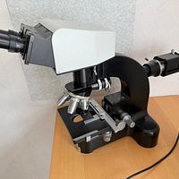 SFLN-008724-Position-1