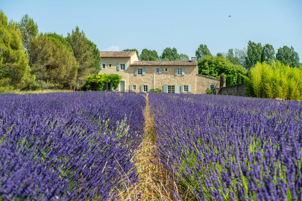 Photographs of Mas du Fournil villa in Provence - Image 1 of 47