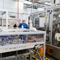 Filler, Sealer And Capper-Fillpack - Image 13