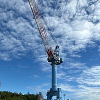 SFLN-000515-Position-1