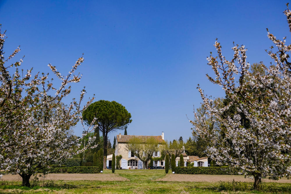 Photographs of Mas d’Olivia villa in Provence - Image 36 of 39