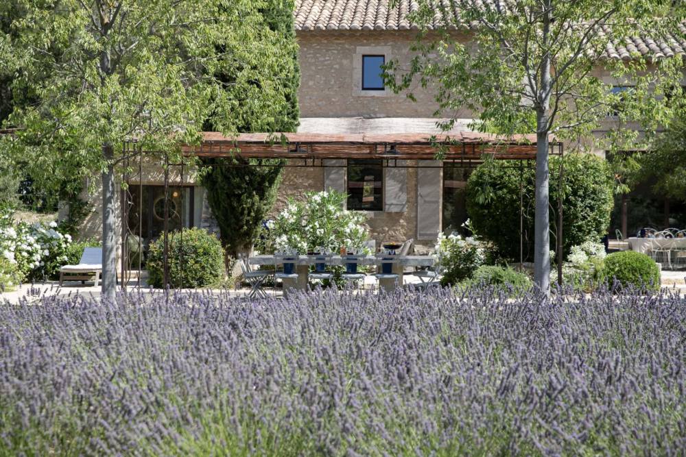 Photographs of Mas des Peintres villa in Provence - Image 44 of 46