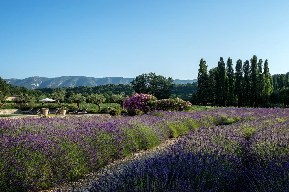 Photographs of Bastide du Calavon villa in Provence - Image 2 of 57