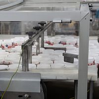 Jars Filling Line-Fillpack - Image 8