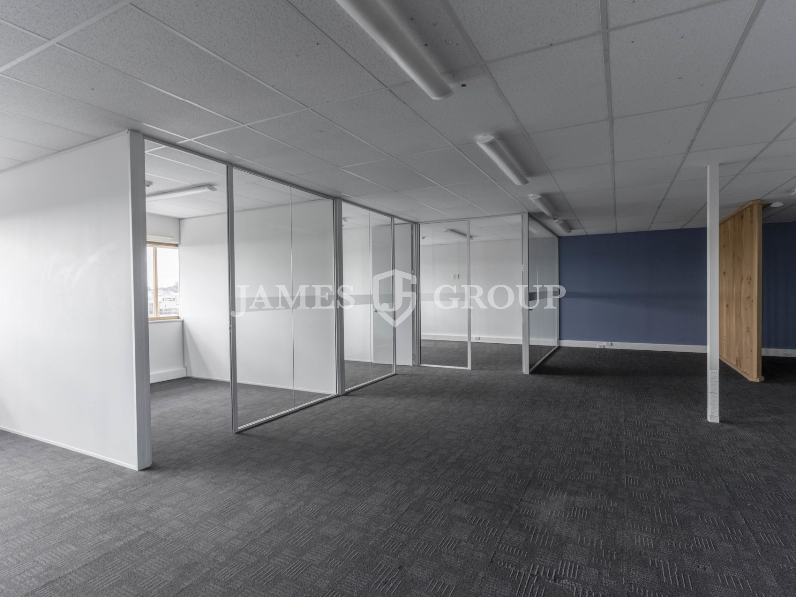 Central Newmarket Opportunity
