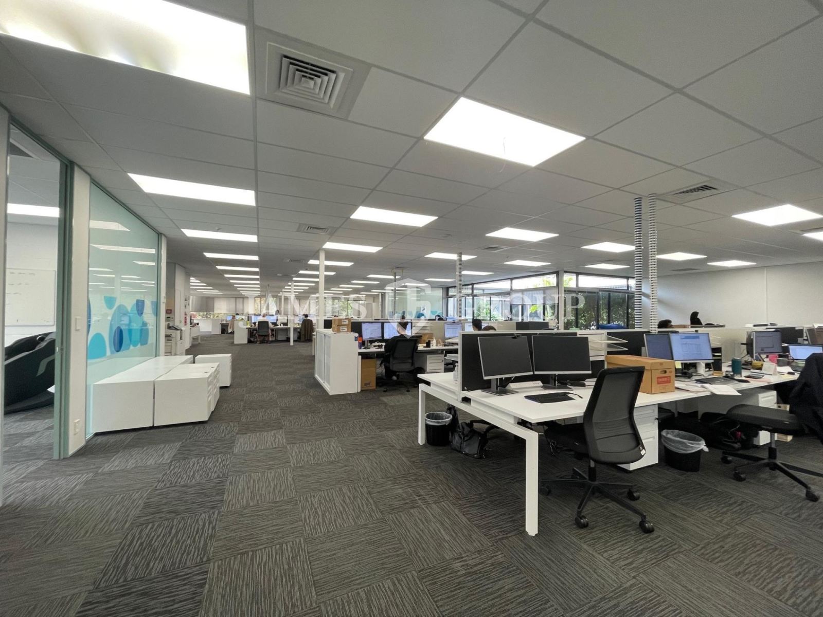 Cost Effective Mount Eden Office