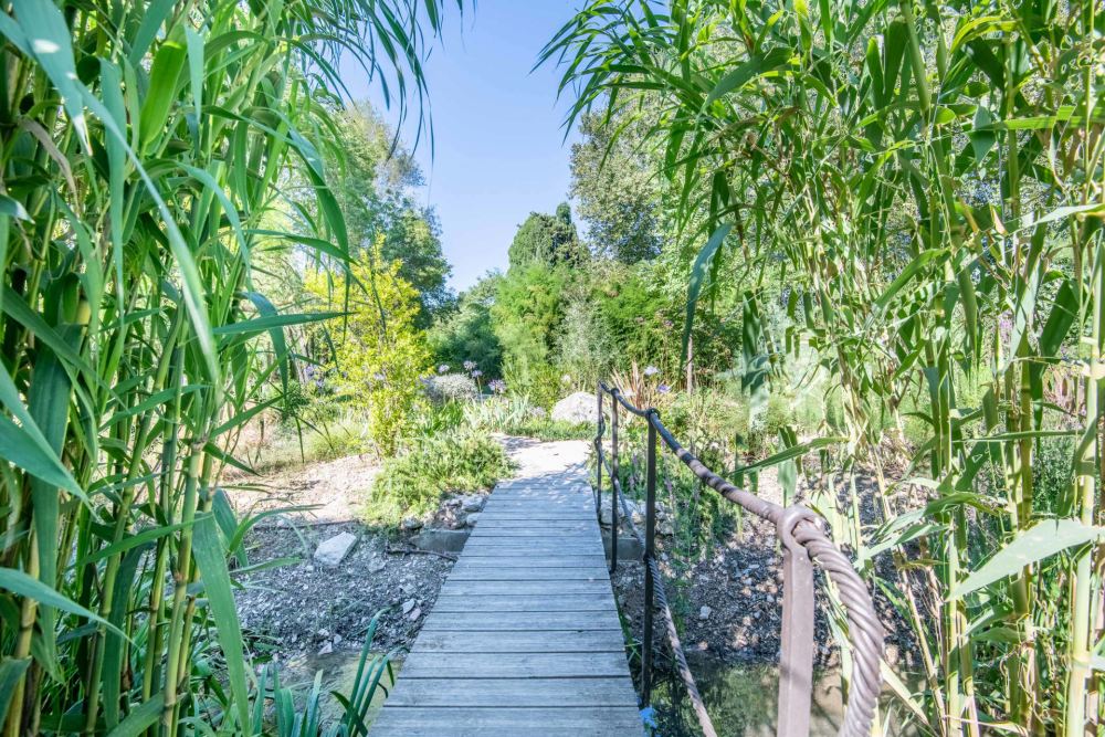 Photographs of Mas des Pierres villa in Provence - Image 60 of 60