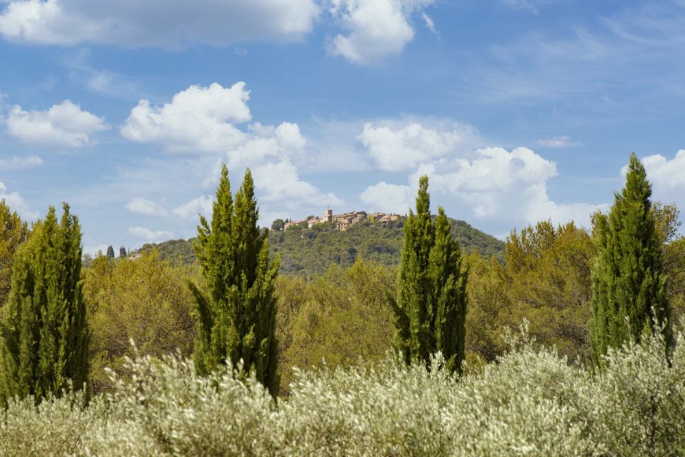 Photographs of Mas de Manebit villa in Provence - Image 30 of 30