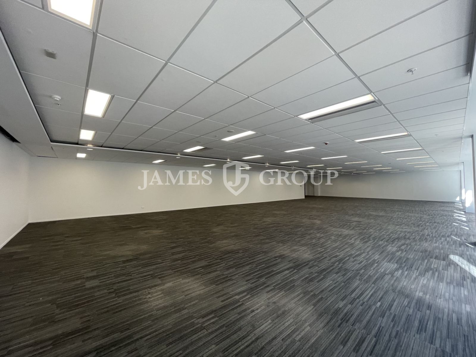 Modern Open Plan Parnell Opportunity