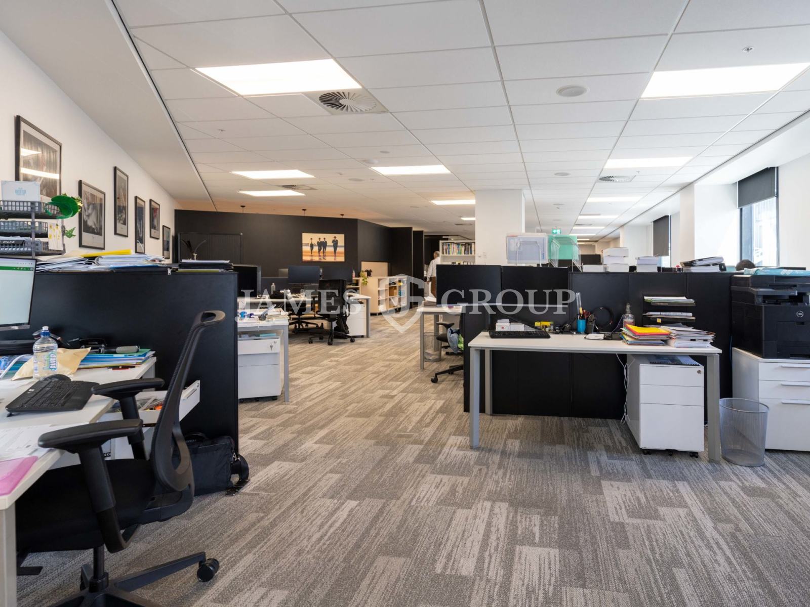 Premium Green Star Parnell Office