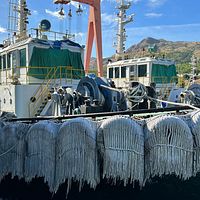 Tugboat-SAMKWANG SHIPBUILDING & ENG'G. - Image 4