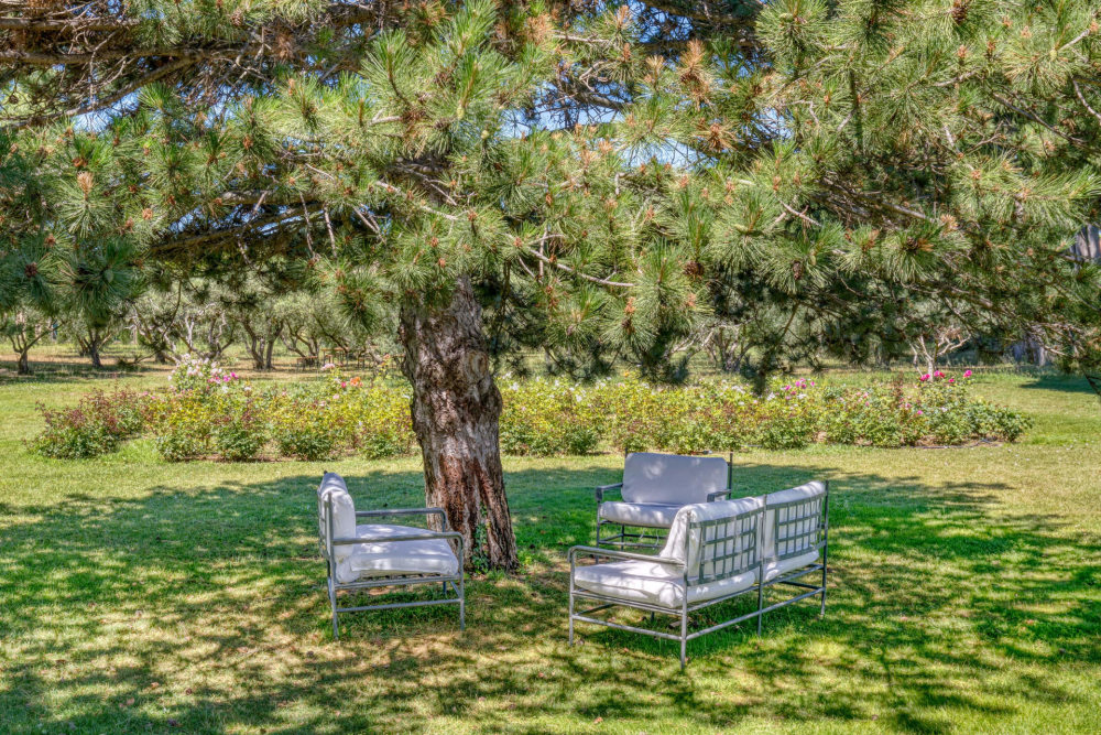 Photographs of Mas Cédrat villa in Provence - Image 54 of 56