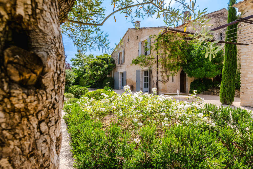 Photographs of Mas des Figuiers villa in Provence - Image 49 of 50