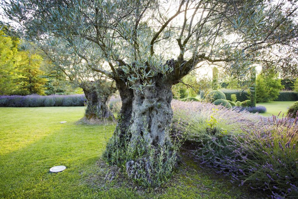 Photographs of Domaine de Fontclair villa in Provence - Image 35 of 60
