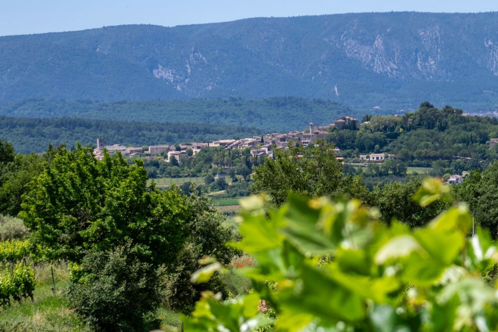 Photographs of Les Vignes villa in Provence - Image 46 of 46