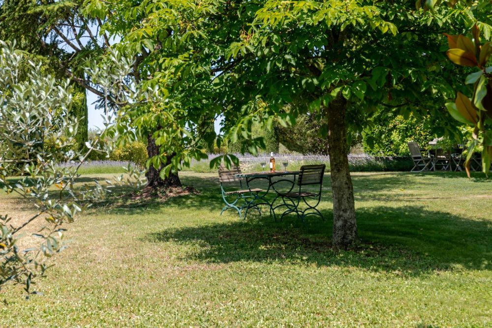 Photographs of Mas de Ribe villa in Provence - Image 34 of 50