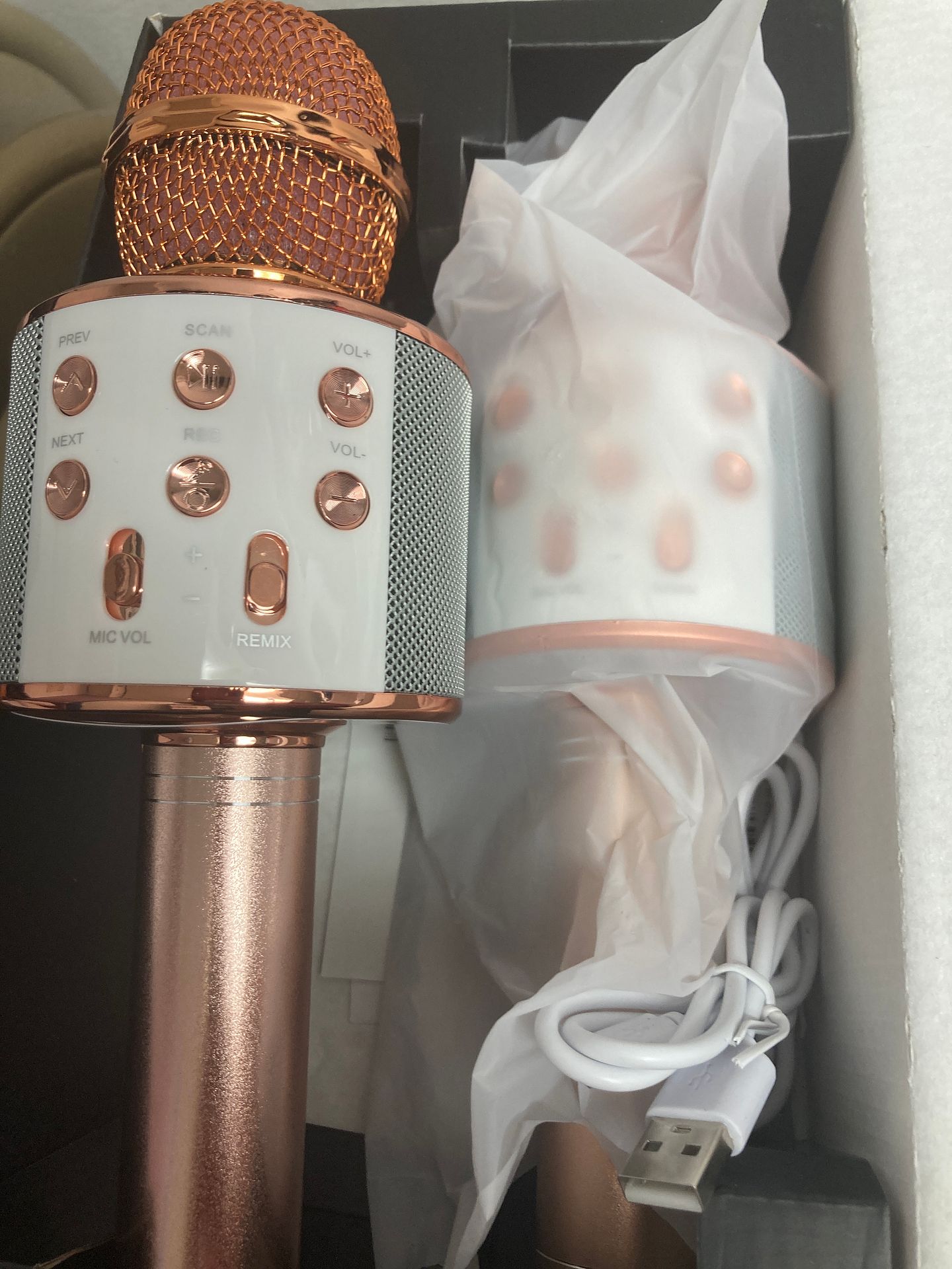 Karaoke Mic