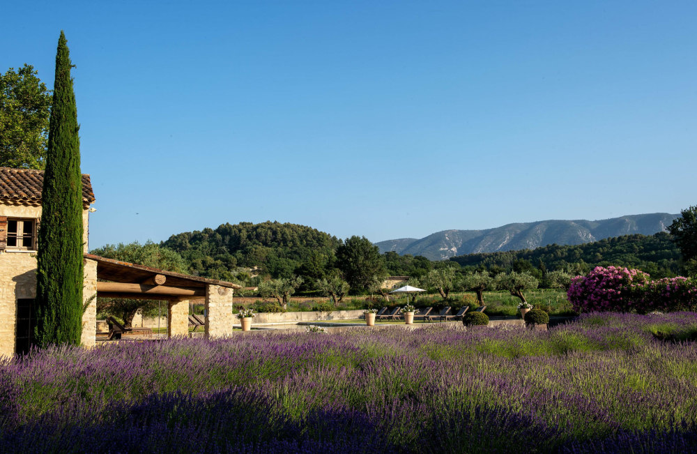 Photographs of Bastide du Calavon villa in Provence - Image 57 of 57