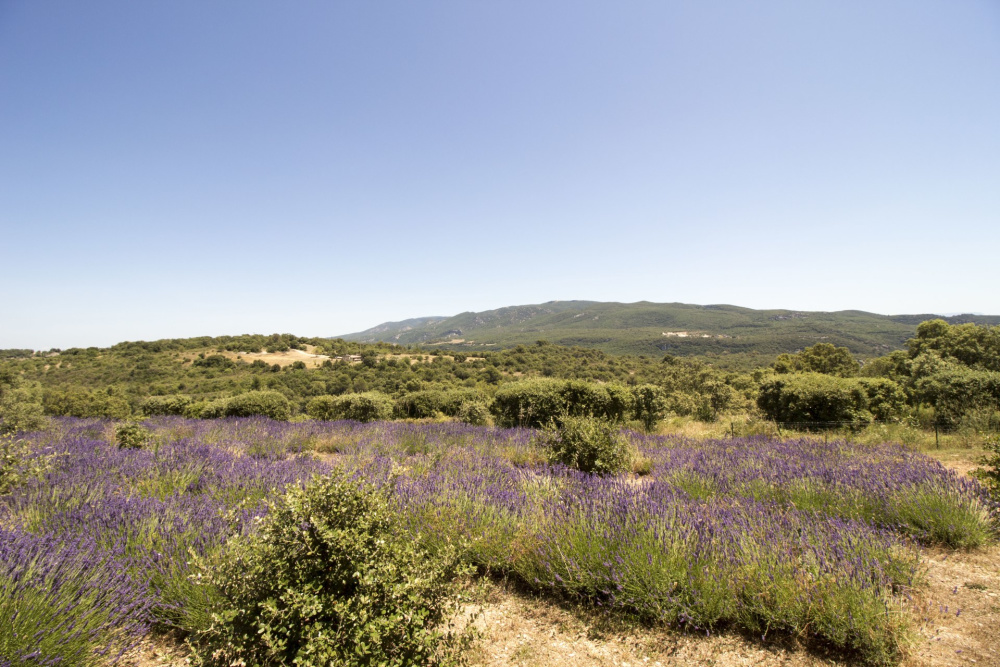 Photographs of Villa Melodie villa in Provence - Image 36 of 36