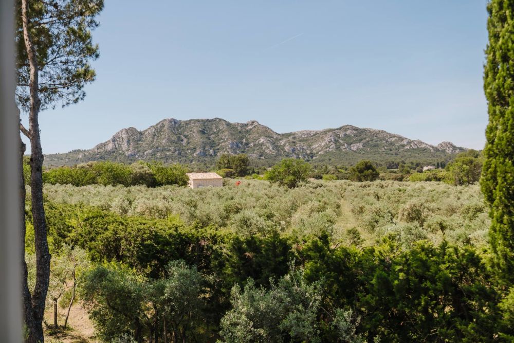 Photographs of Mas des Nénuphars4 villa in Provence - Image 44 of 44
