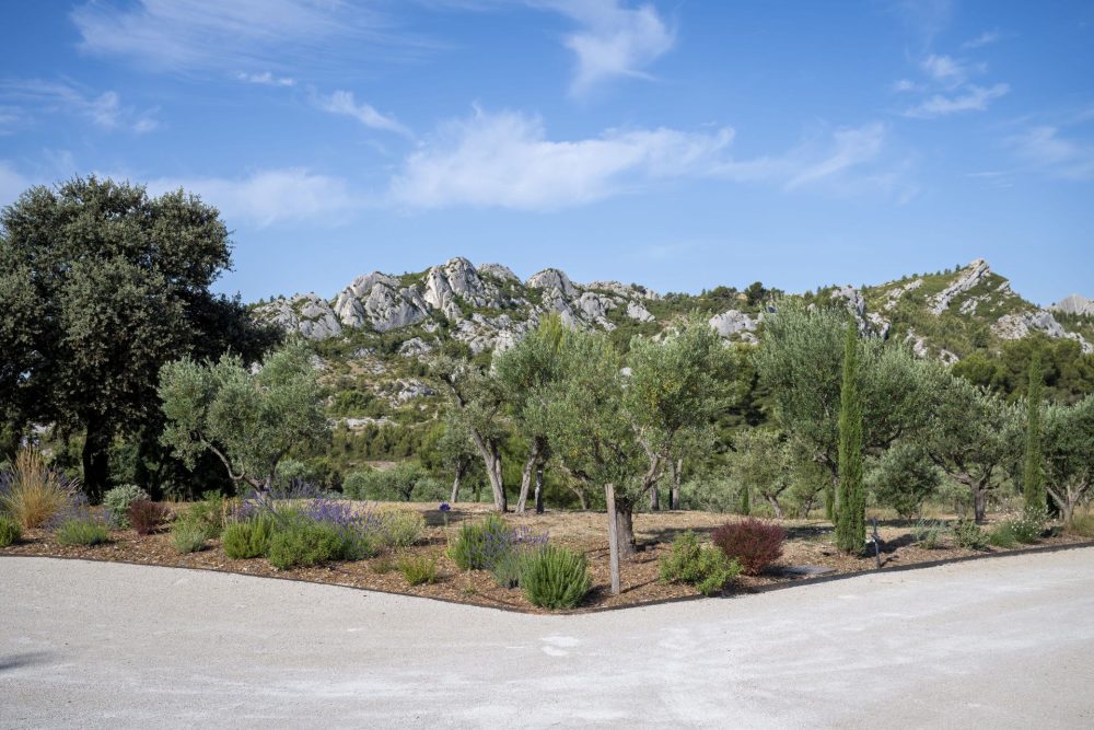 Photographs of Mas des Crêtes villa in Provence - Image 26 of 41