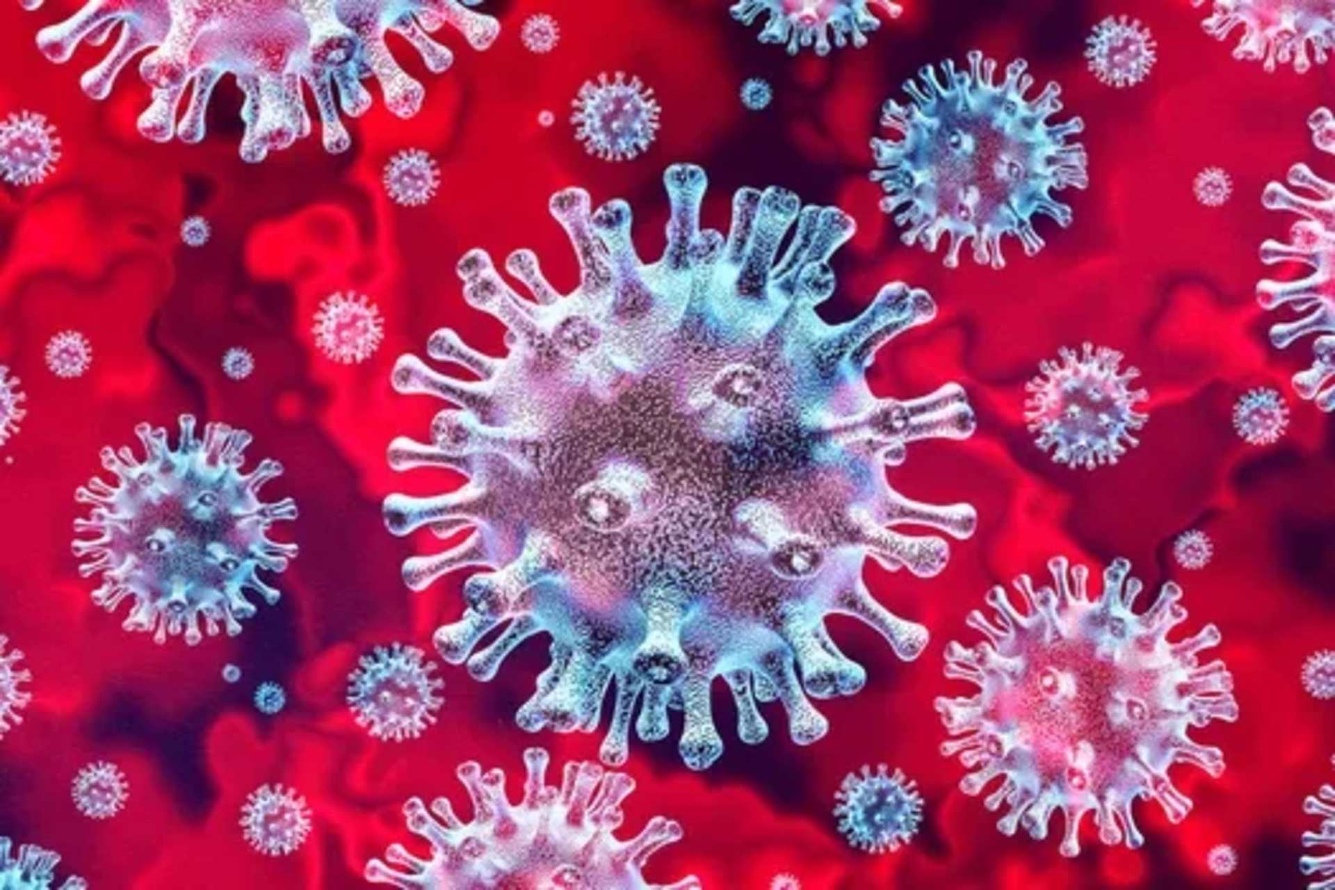 What is COVID-19?