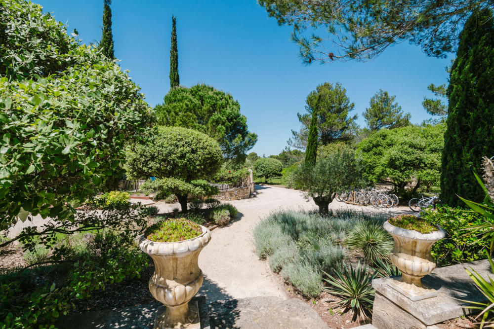 Photographs of Le Mas d’Eygalieres villa in Provence - Image 19 of 60