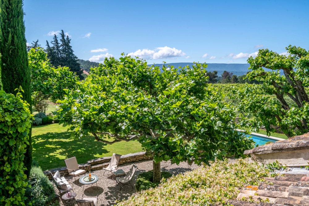 Photographs of Les Vignes villa in Provence - Image 34 of 46